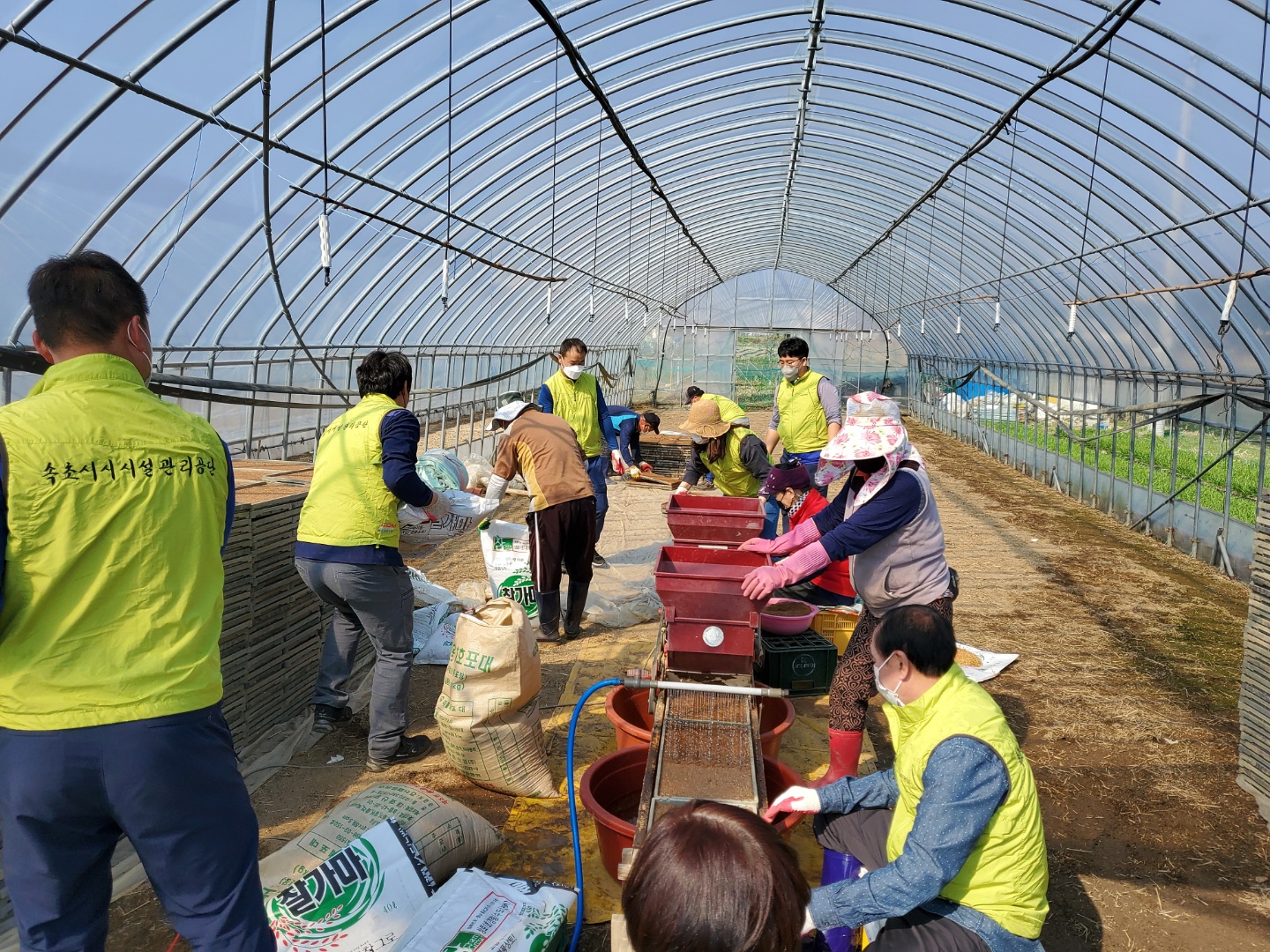 속초시시설관리공단, 영농철 농촌일손돕기 봉사활동 실시